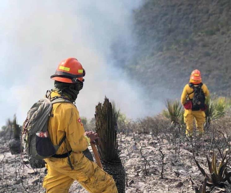 Recuperación tras incendios sería a largo plazo