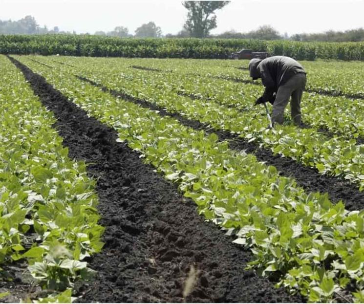 Asociaciones agropecuarias de EU advierten de conflicto