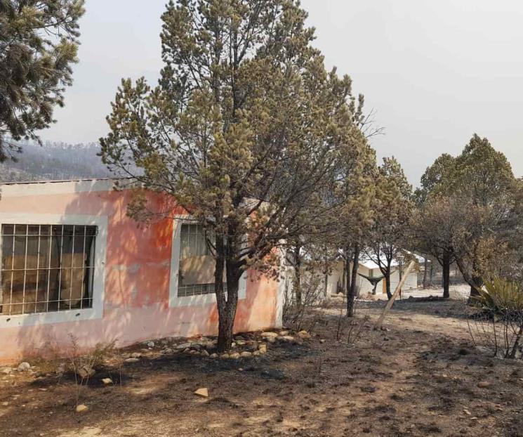 Regresan a su casa algunos damnificados