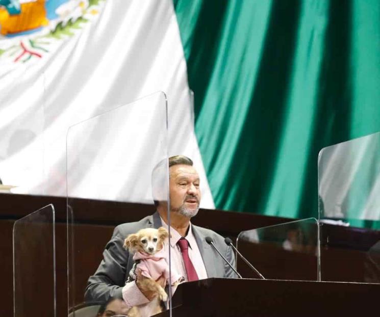 Celebra reformas en materia de sanción del maltrato animal