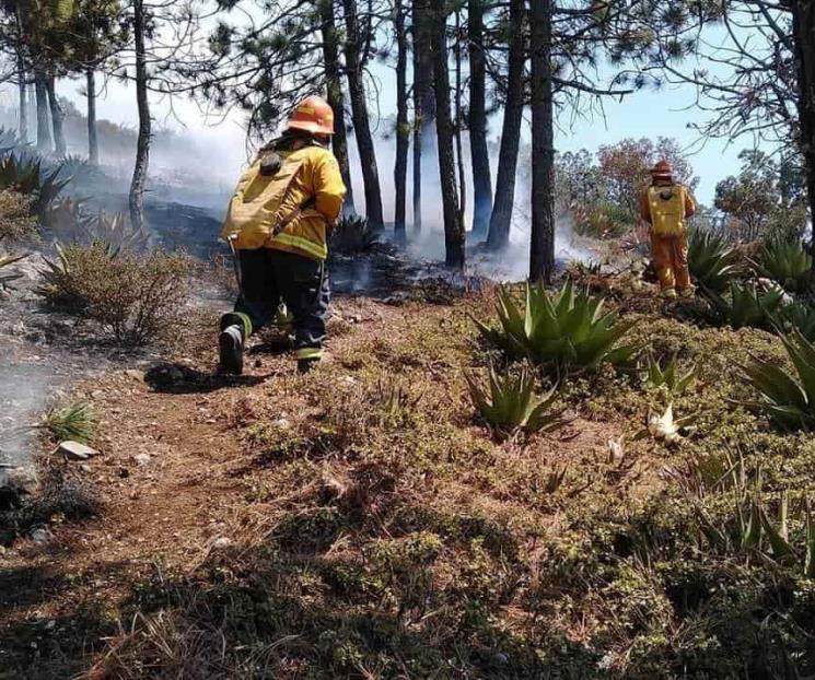 AMLO descarta acudir a zona siniestrada de Arteaga