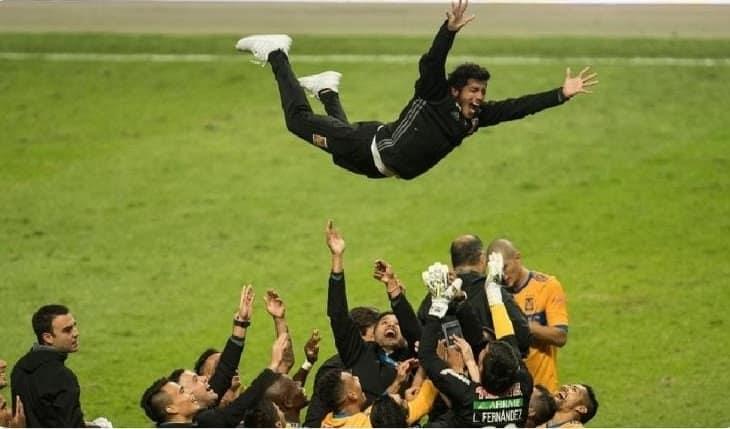 Felinos no se avergüenzan de su descenso