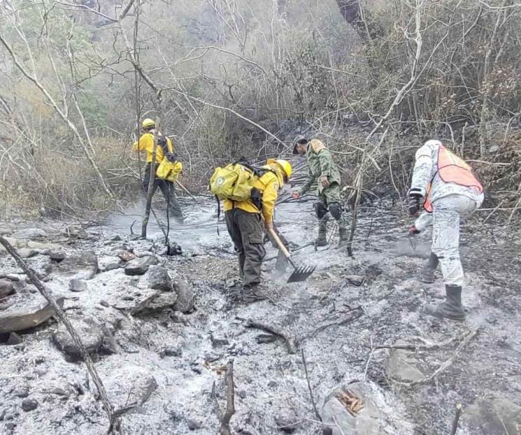 Suman 8 mil hectáreas afectadas en Sierra de Santiago