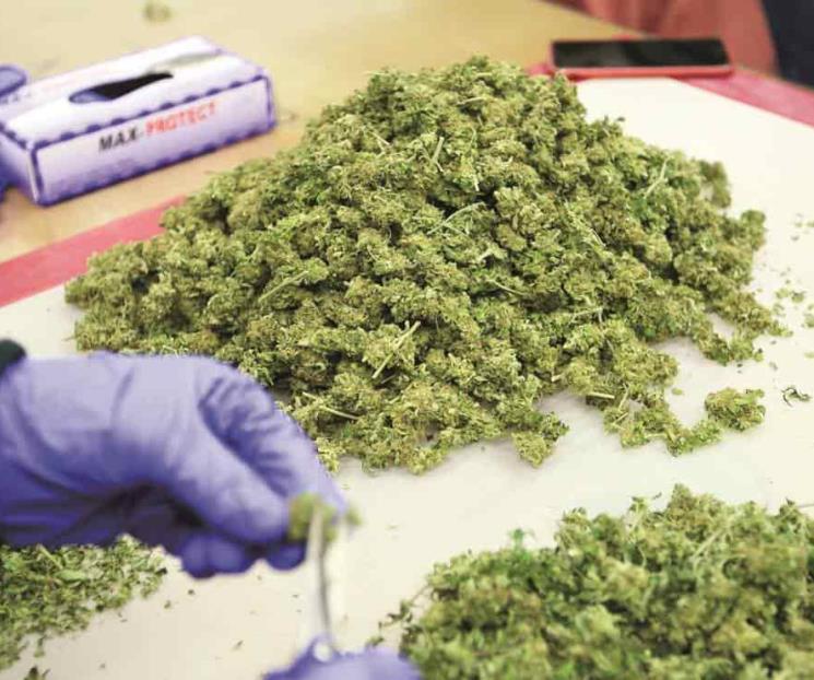 ONU advierte por epidemia de estupefacientes en México