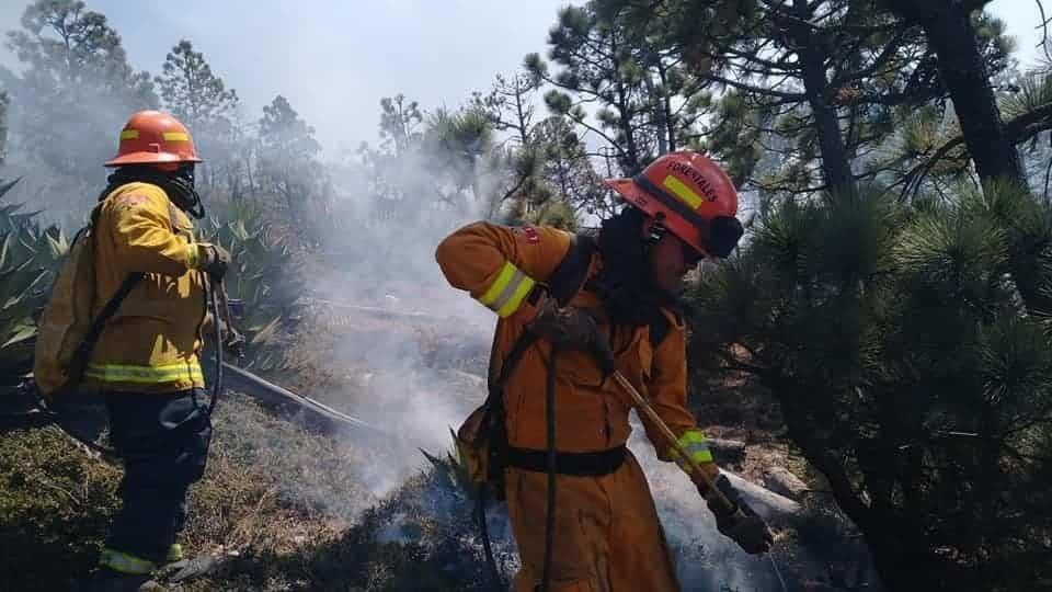 En 2021, gran cantidad de incendios forestales