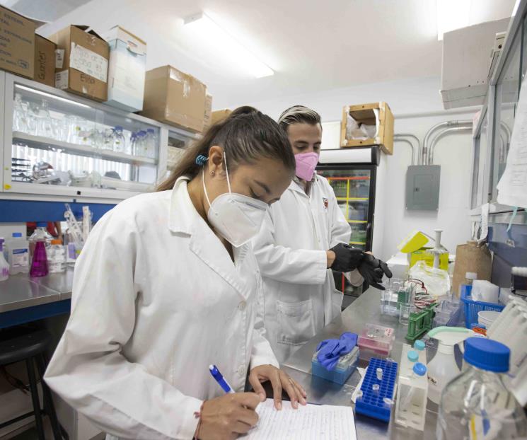 Apoya a la UAQ para lograr vacuna mexicana contra el Covid