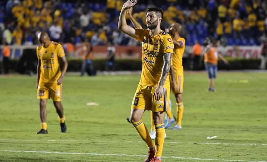 Felinos descansarán todo este fin de semana