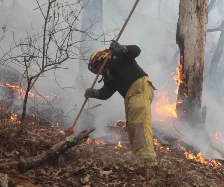 Se tienen sofocados cinco de ocho incendios en NL Se tienen sofocados cinco de ocho incendios en NL