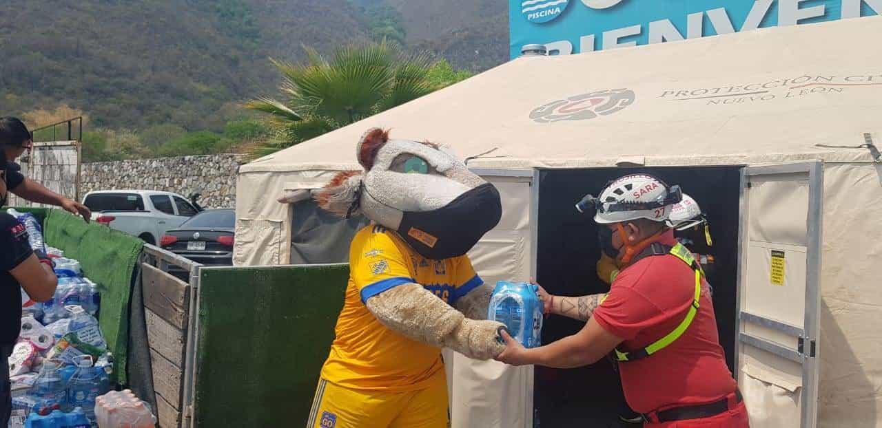 Se solidarizan felinos y donan víveres