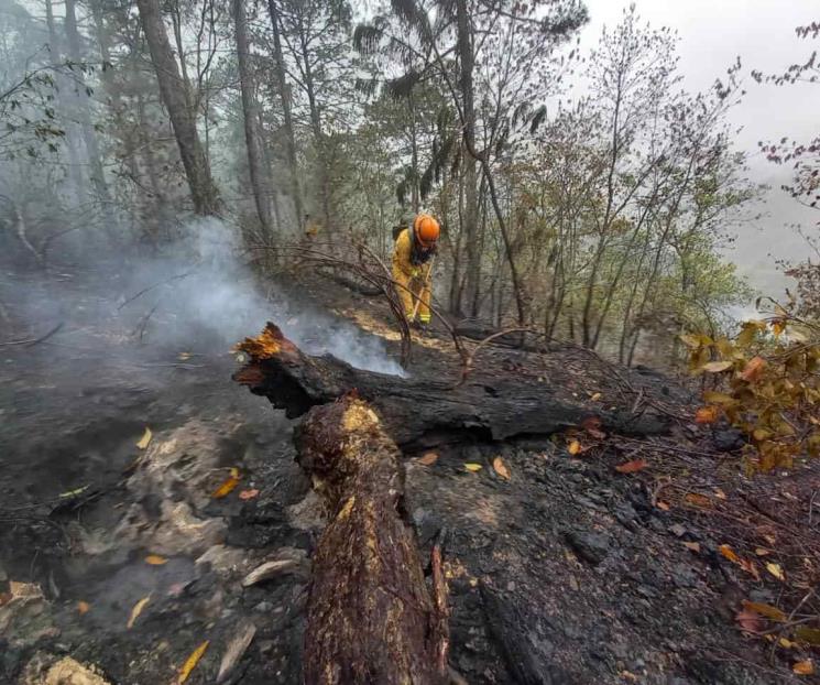 Solicita NL declaratoria de emergencia por incendio forestal