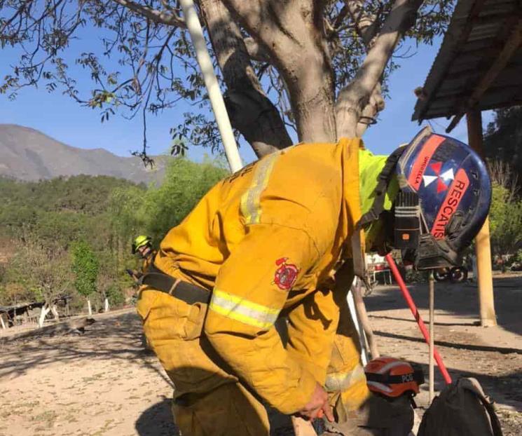 Siguen labores para extinguir incendio en Sierra de Santiago Siguen labores para extinguir incendio en Sierra de Santiago