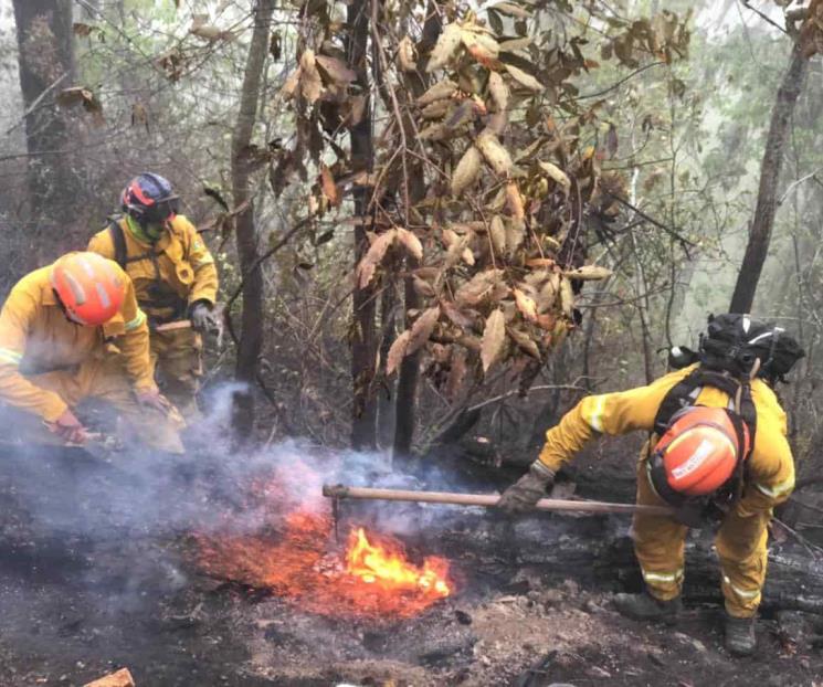 Emite Federación Declaratoria de Emergencia en NL