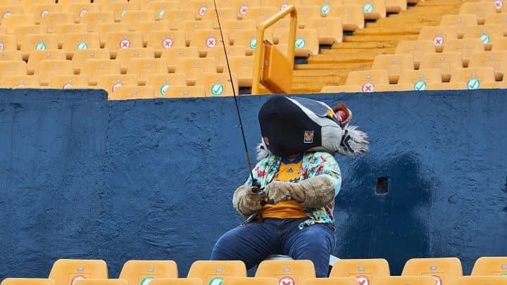 Saldará Tigres cuentas con aficionados