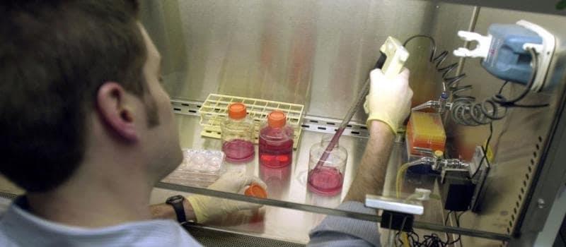 Inteligencia artificial se aplica en detectar el cáncer