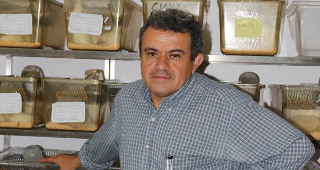 Reducido índice de afecciones neurológicas graves por COVID