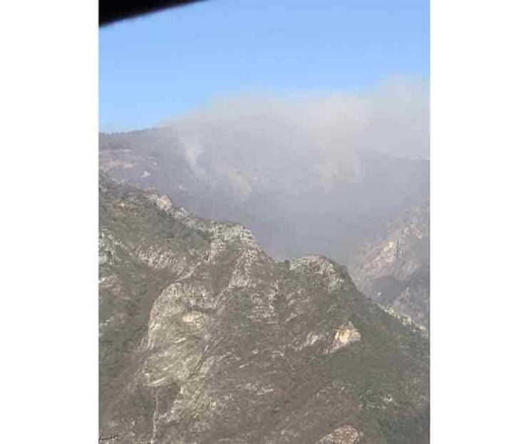 Controla NL incendio forestal en Zaragoza