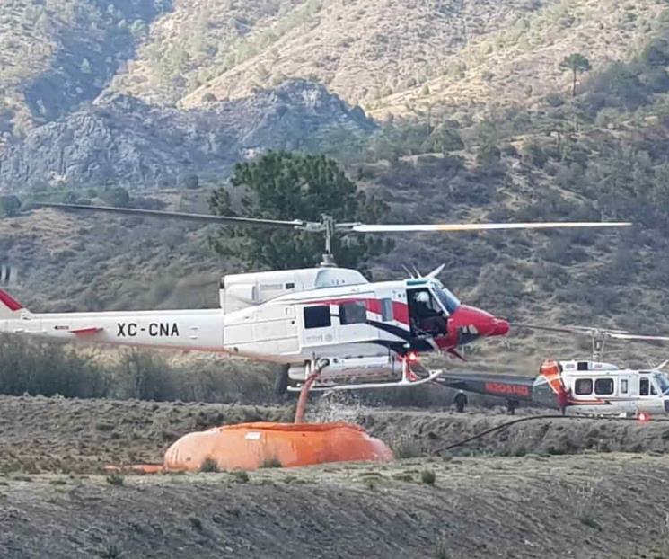 Tras los incendios en la sierra viene la reparación de daños