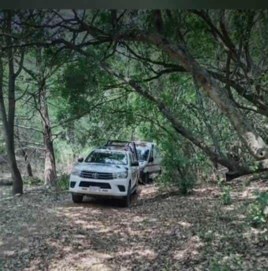 Hallan a pareja muerta en un despoblado de Linares