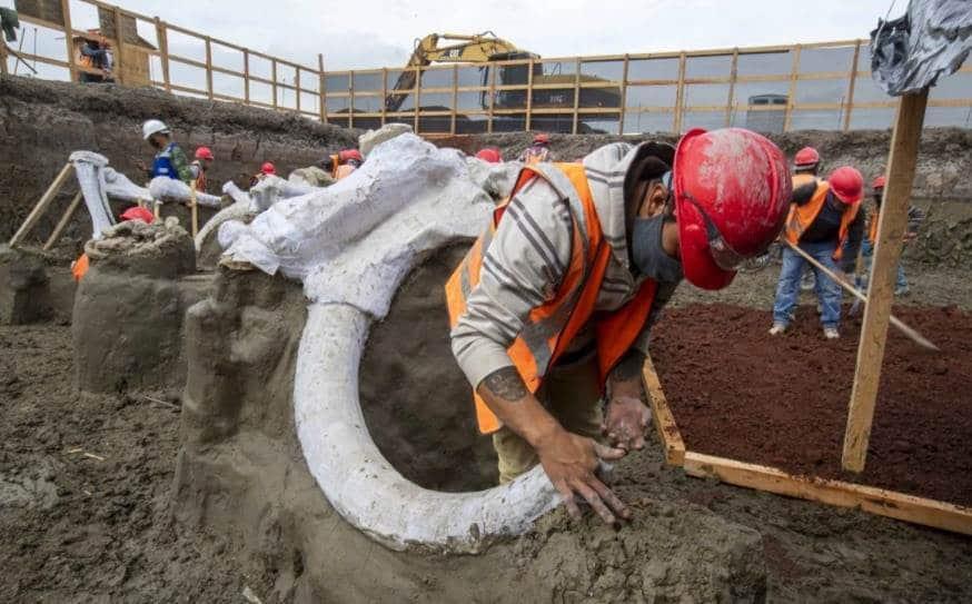 Mamuts: un hito de la arqueología en México Mamuts: un hito de la arqueología en México