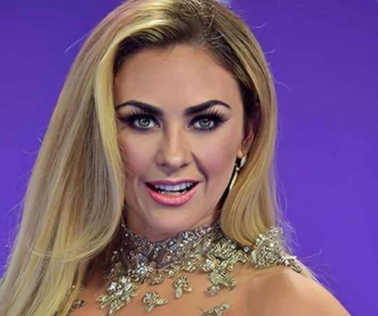 Aracely Arámbula no aparecerá en serie sobre Luis Miguel