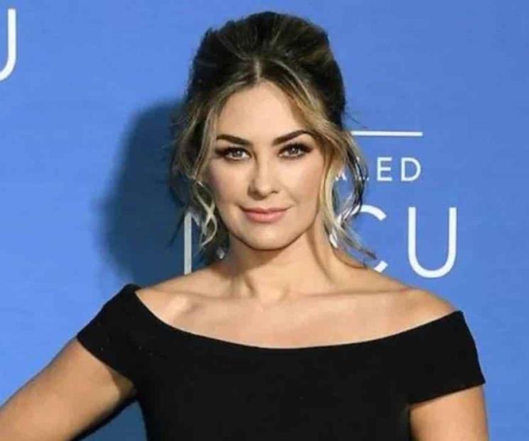 Araceli Arámbula, fuera de la serie de Luis Miguel