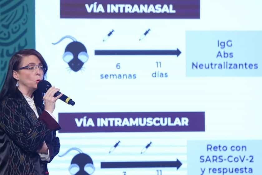 México, en fase 1 para crear vacuna; se llamará Patria