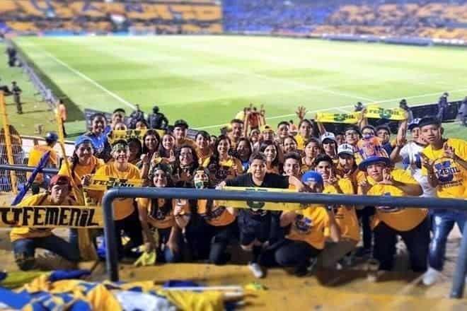 Tendrían las felinas público