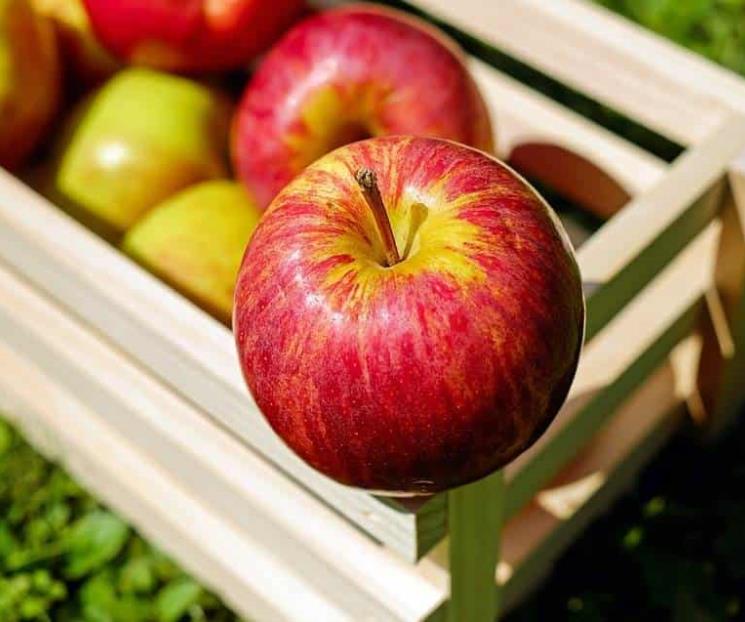 Conoce qué puedes cocinar con cada tipo de manzana