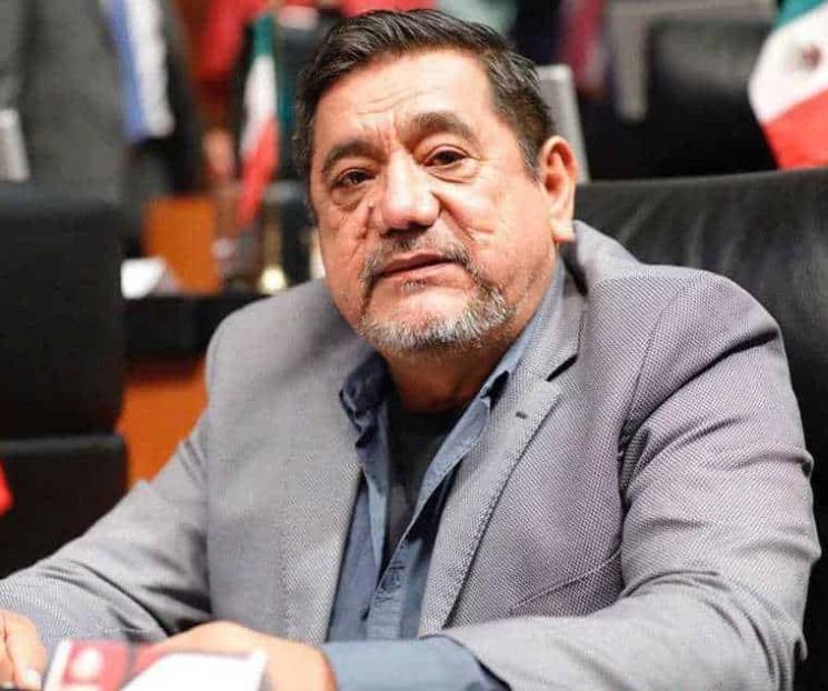 INE, superficial en fallo sobre Salgado