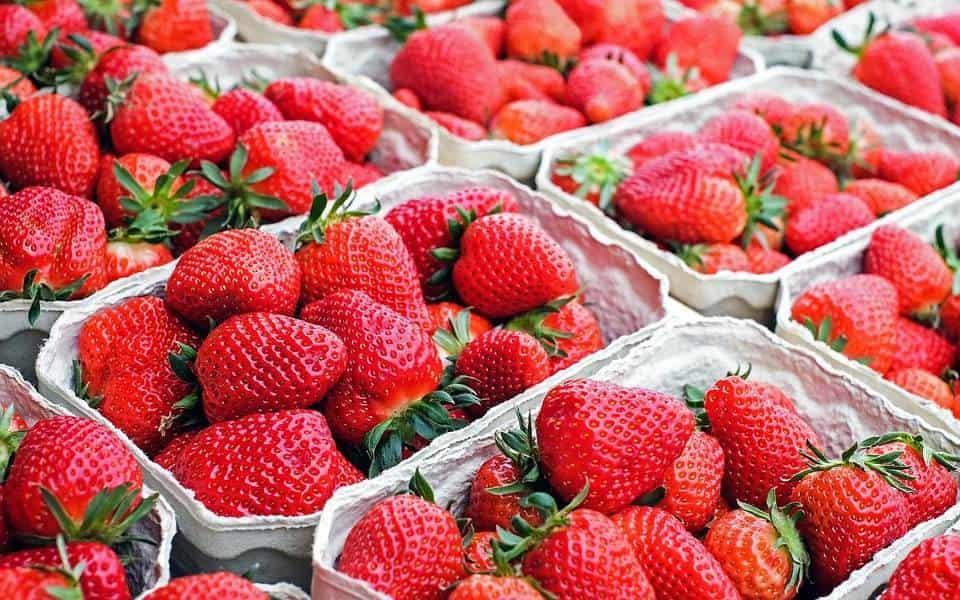 México cultiva fresas, frambuesas y zarzamoras