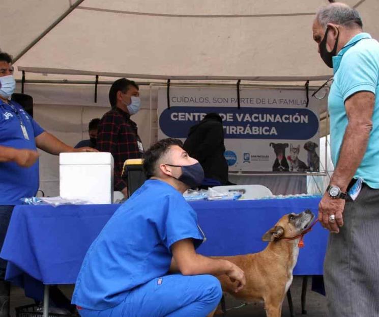Esterilizarán animales en SN