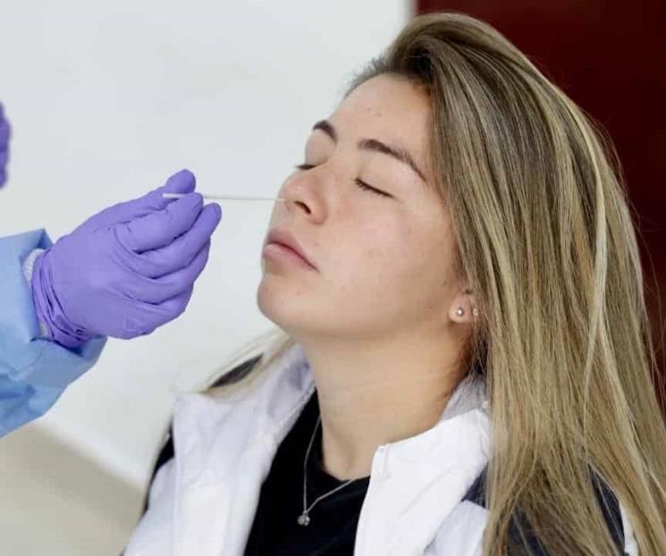 Se someten felinas a prueba Covid-19