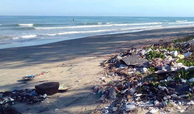 ONU alerta sobre aumento de zonas muertas en los océanos