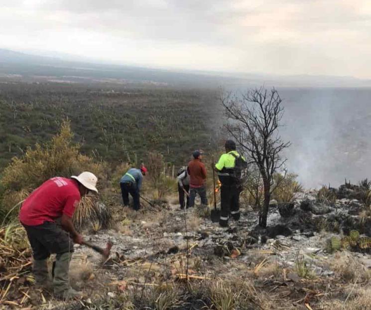 Controlan al 50% incendio en Doctor Arroyo