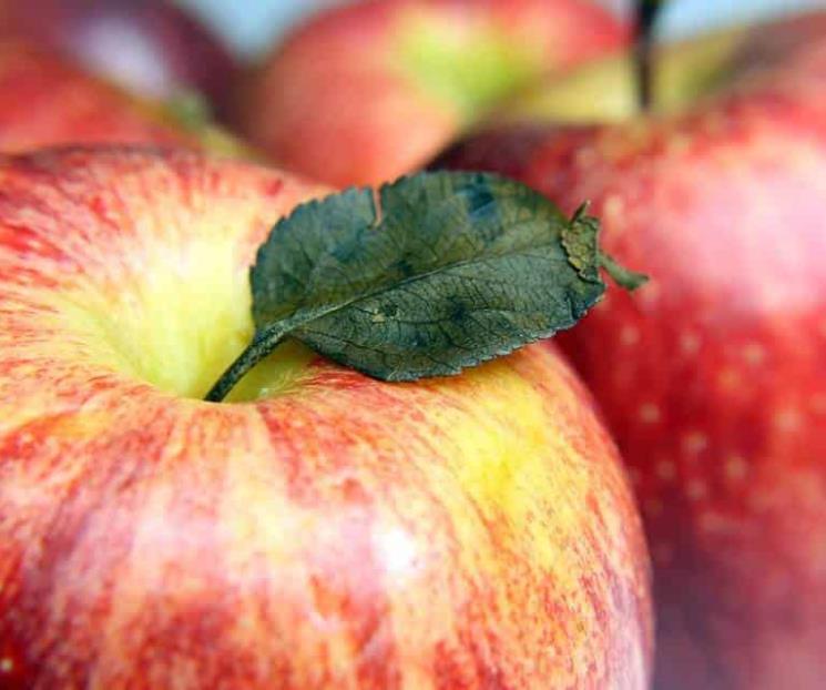 Curiosidades y beneficios que no conocías de la manzana Gala