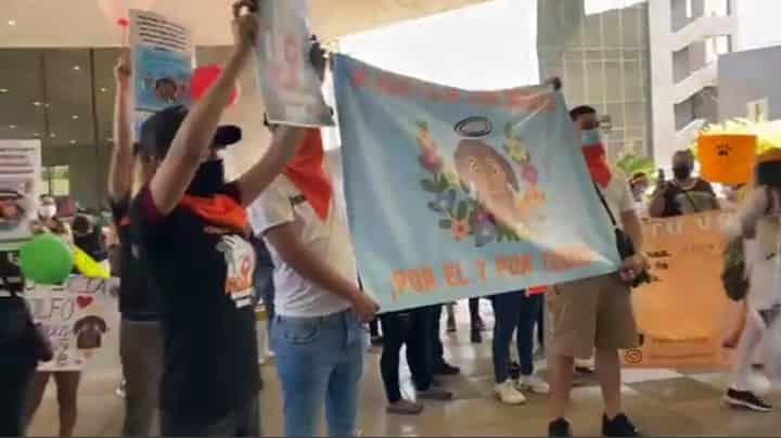 Exigen respeto para animales de compañía