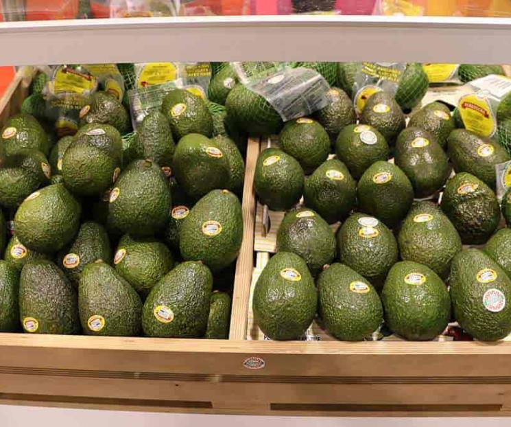 Comercio exterior apuntala recuperación económica de México