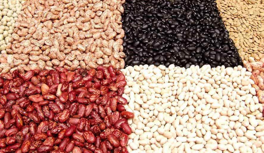 Por problemas de abasto, venden kilo de frijol en 53 pesos