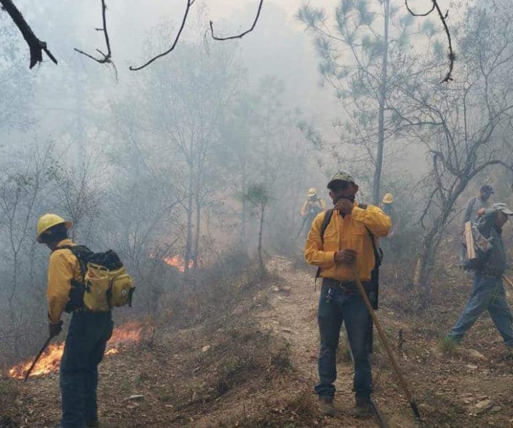 Controlan al 50% incendio en Dr Arroyo