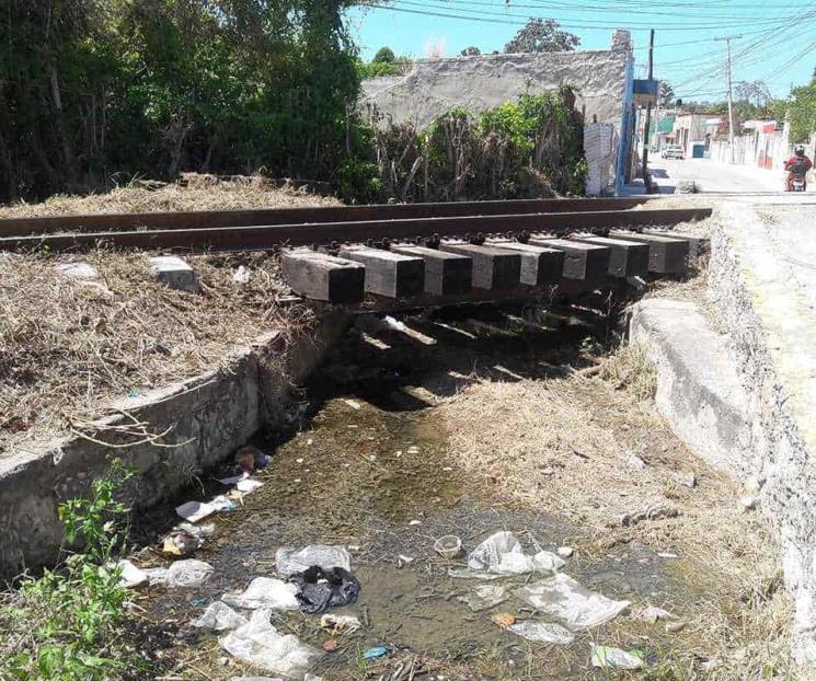 Reubicarán casi 3 mil 300 hogares por el Tren Maya