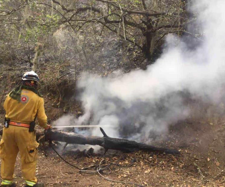 Refuerza NL combate a cinco incendios forestales