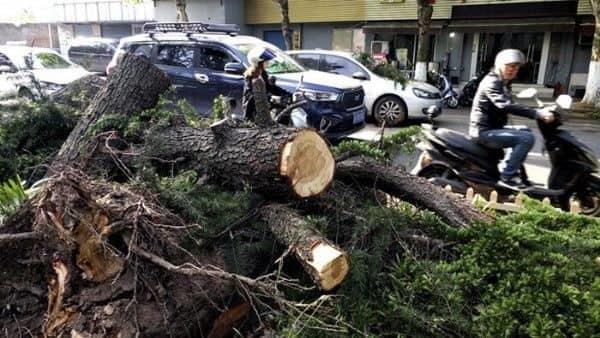 Tormenta deja al menos 11 muertos y cien heridos en China