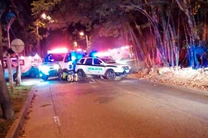 Visiones policiacas y citadinas