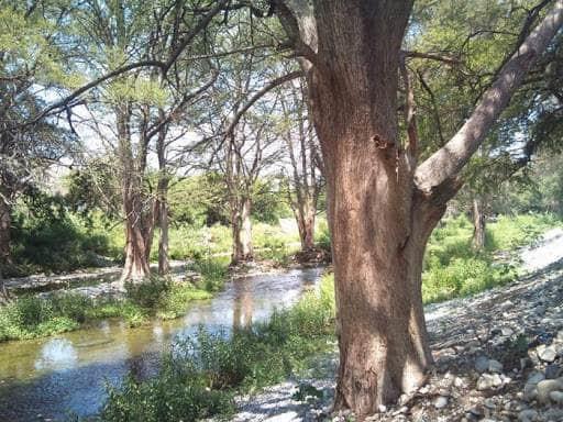 Harán consulta para declarar área protegida el río La Silla