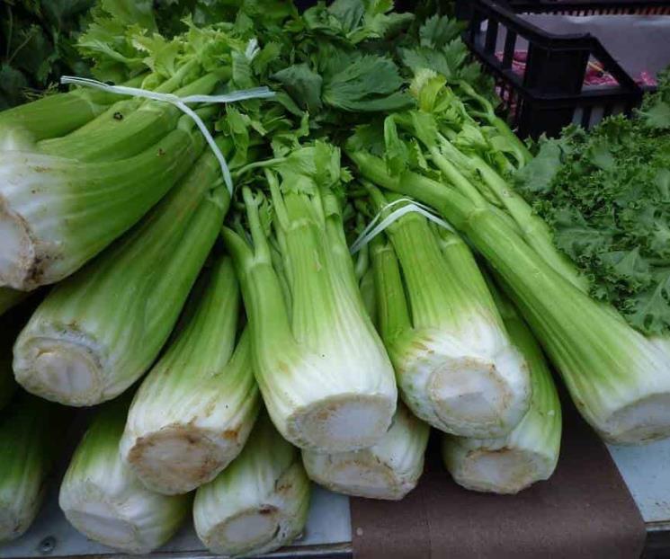 Consejos para almacenar el apio y conservarlo fresco