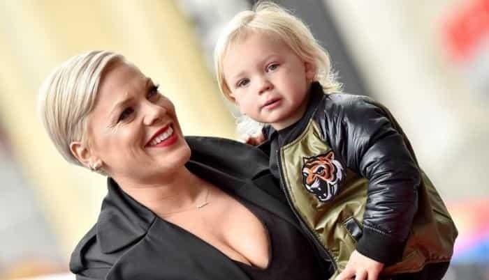 Pink cambió su testamento tras contagiarse de Covid