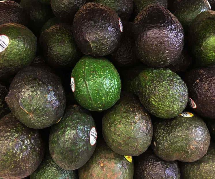 Estudio señala que el aguacate puede combatir la leucemia