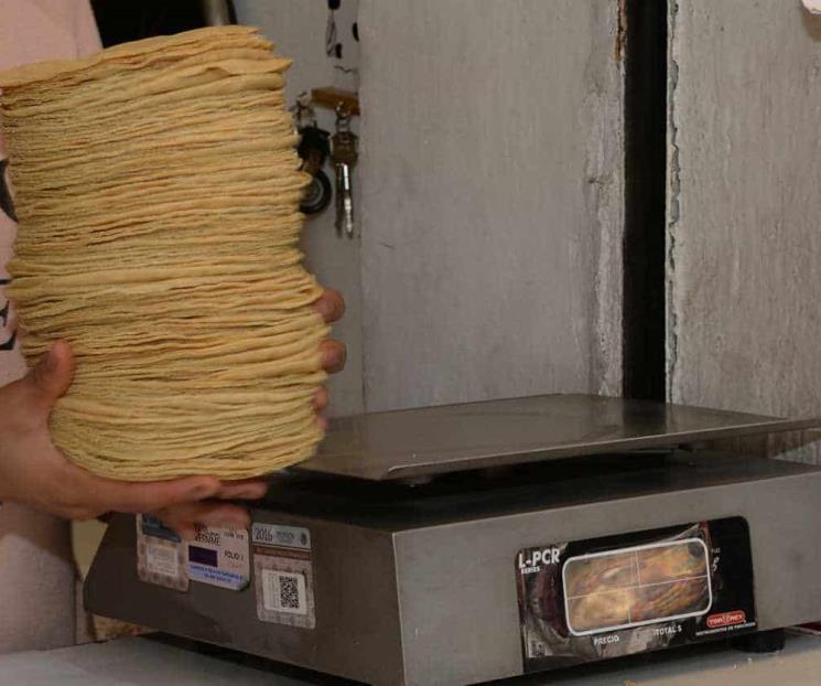 Kilo de tortilla, entre 15 y 20 pesos en CDMX