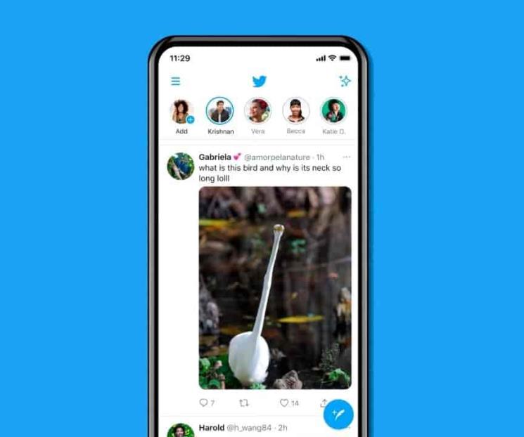 Twitter lanza las imágenes a tamaño completo en el timeline