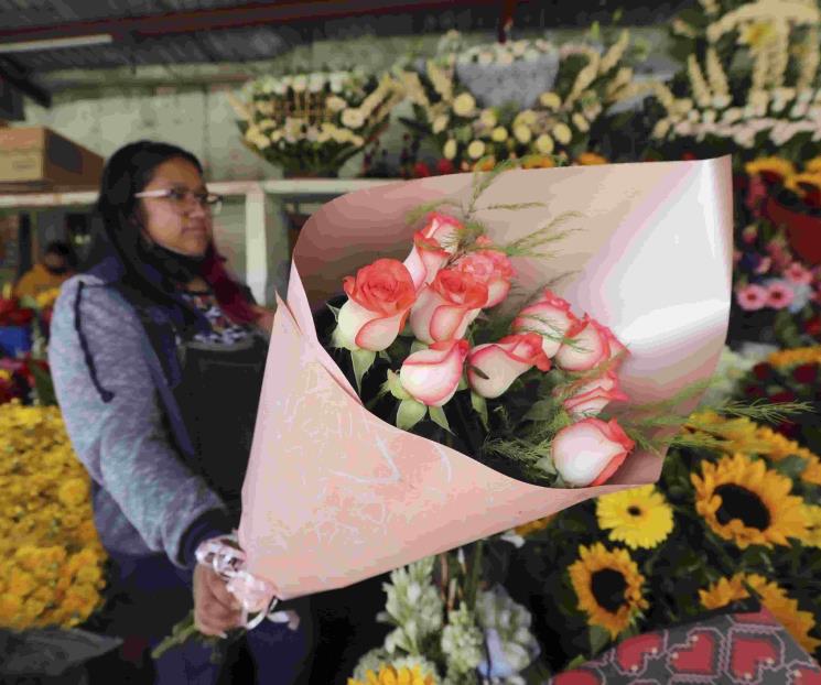 Producción de flor para el 10 de mayo está garantizada